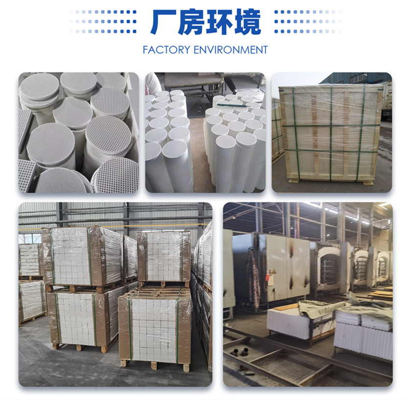 1712800527463171.jpg 陶瓷片-載體_13.jpg